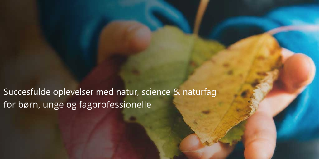 Succesfulde oplevelser med natur, science & naturfag for børn, unge og fagprofessionelle